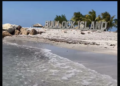 Kwame Brown Salutes NBA Player Reggie Bullock for buying private Island in Belize! Speaks on the Importance of Buying Land and Assets